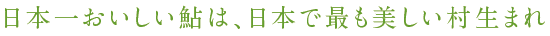 日本一おいしい鮎は、日本で最も美しい村生まれ