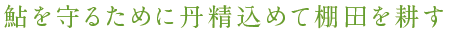 鮎を守るために丹精込めて棚田を耕す